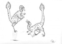 raptor play fight