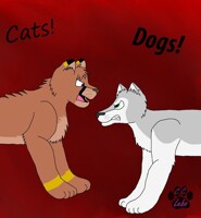 Fighting Like Cats and Dogs