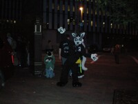 First Fursuiters of AC 2009