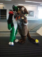 Green Fox and a Tail on a Board