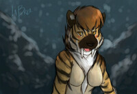 A toothy grinned Zebra