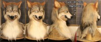 Wolf LARP Mask (Sold)