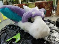 Head After Furring and shave