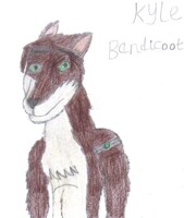 New Character Kyle Bandicoot