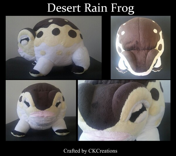 desert rain frog plush