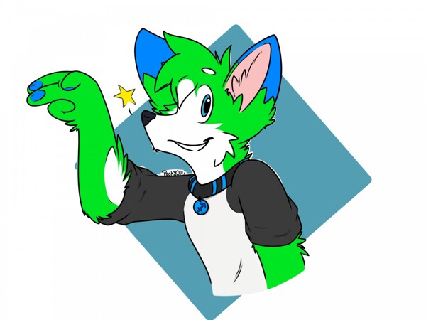 Userpage of Pooky_Wolf -- Fur Affinity [dot] net