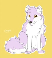 pink fox