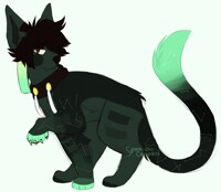 Comm | So we should shock em