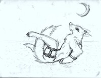 moon trance
