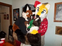two wuffs and a fox