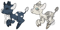 $2 baby cow adopts!