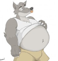 shirt lift wolf