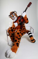Guitar and Cheetah