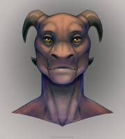 Amber eyes + video lapse