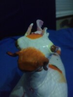 Buddha the Hippocampus Doll - 5