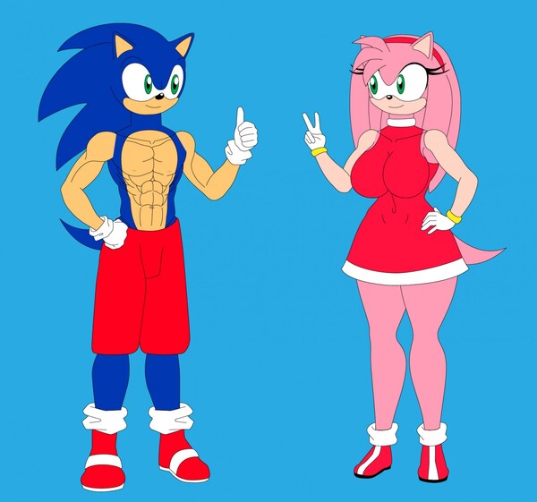 Sonic and Amy by RokkanRokkan -- Fur Affinity [dot] net