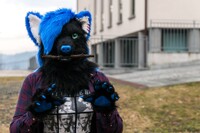 Rawr(??)