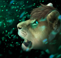 COMM Magic In the Air