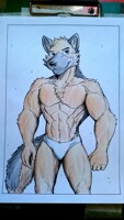 Active nerd wolf ( underwear-ish ) by TopgearAE86turbo -- Fur Affinity  [dot] net