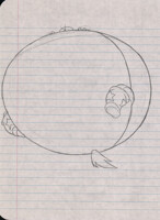 retro stallion star inflation sketch 14