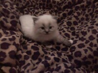 The Cutest Boy