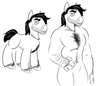 Literal italian stallion