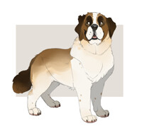 Campfire Snack St. Bernard