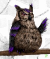 Fat owl spend paint