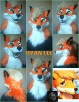 Ryan the fox