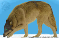 ..WinterWolf..