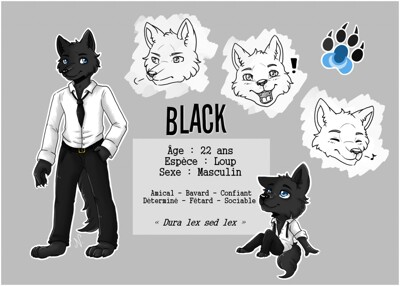 Black ref 2k18 by Black_Wolf57 -- Fur Affinity [dot] net