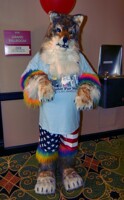 MFM 2017 - Wolfy