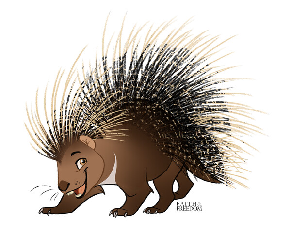 african porcupine drawing
