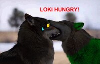 -Noms Raikou-