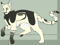 Feline Adopt Flatsale -OPEN-