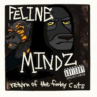Feline Mindz Return of the Funky Cats (Album Concept)