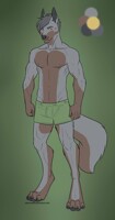 Doberman/Wolf Dog Adopt