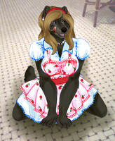 Good Little Housewife