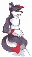 Fracture Wolf