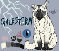 Galestorm | 2018