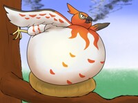 Blazebeak smoke belly