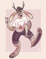 ace the jackalope