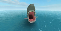 Shark Maw