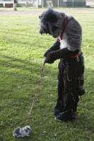 Flask and Alexander go for a walk.