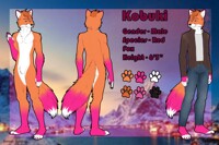 Kobuki's ref