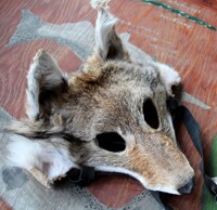 Coyote and Fox Masks!
