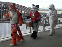 Drummer Wolf Drums