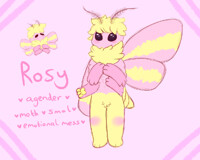 emotionally fragile, handle with care