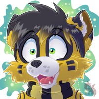 a racoon cute