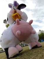 Udderly
